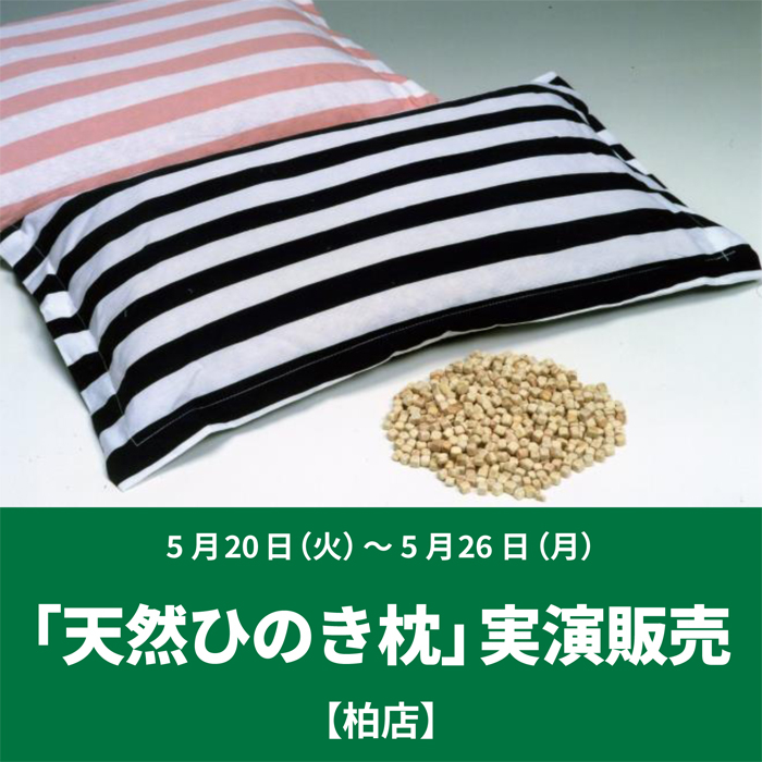 【柏店】「天然ひのき枕」実演販売